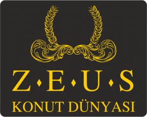 ZEUS Konut Dünyası